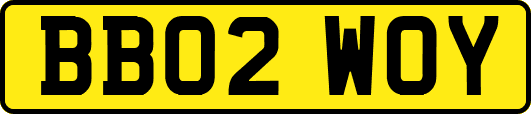 BB02WOY