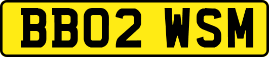 BB02WSM
