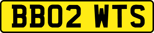 BB02WTS