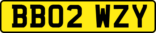 BB02WZY