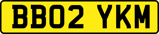 BB02YKM