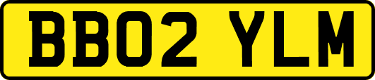 BB02YLM
