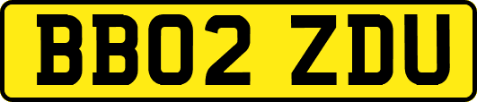 BB02ZDU