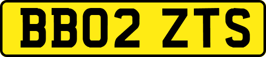 BB02ZTS