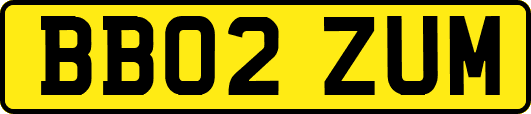 BB02ZUM