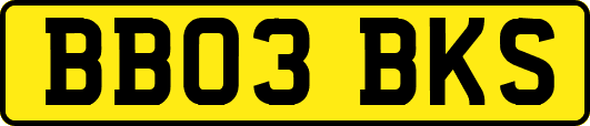BB03BKS