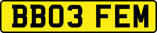 BB03FEM