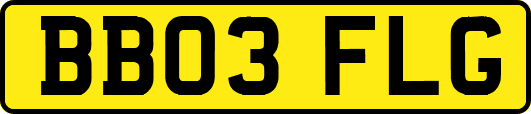 BB03FLG
