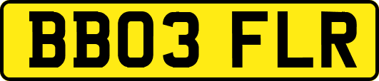 BB03FLR