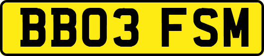 BB03FSM