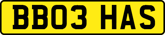 BB03HAS