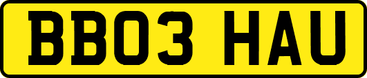 BB03HAU