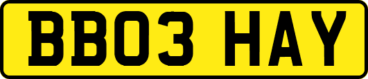 BB03HAY