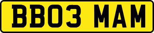 BB03MAM