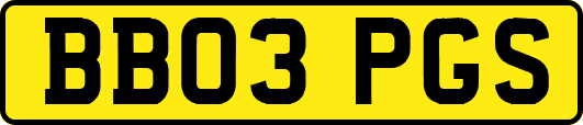 BB03PGS