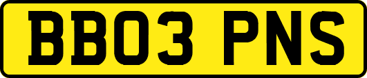 BB03PNS
