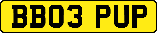 BB03PUP