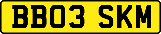 BB03SKM