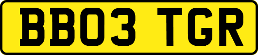 BB03TGR