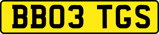 BB03TGS