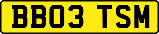 BB03TSM