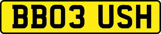 BB03USH