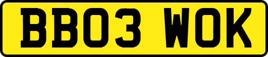 BB03WOK