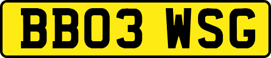 BB03WSG