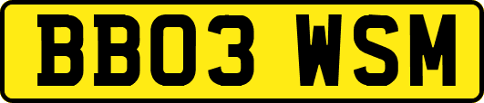 BB03WSM