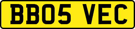 BB05VEC