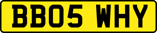 BB05WHY