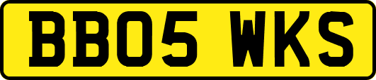 BB05WKS