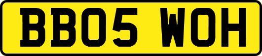 BB05WOH