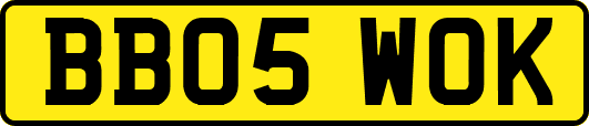 BB05WOK