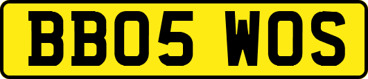 BB05WOS