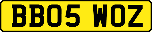 BB05WOZ