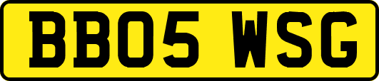 BB05WSG