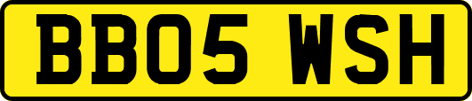 BB05WSH