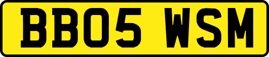 BB05WSM