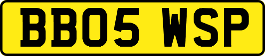 BB05WSP