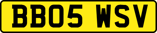 BB05WSV