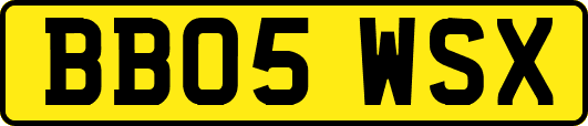 BB05WSX