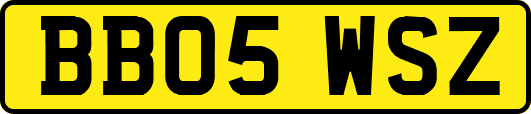 BB05WSZ