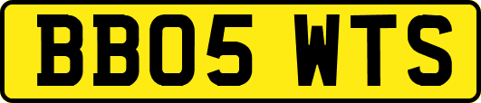 BB05WTS