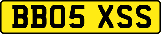 BB05XSS