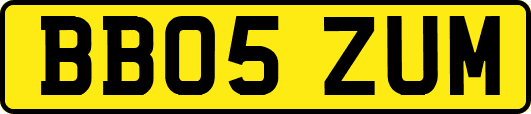 BB05ZUM