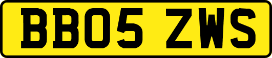 BB05ZWS