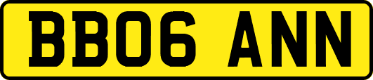 BB06ANN