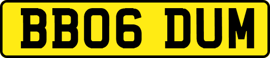 BB06DUM