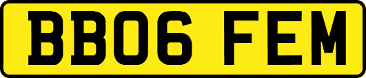 BB06FEM